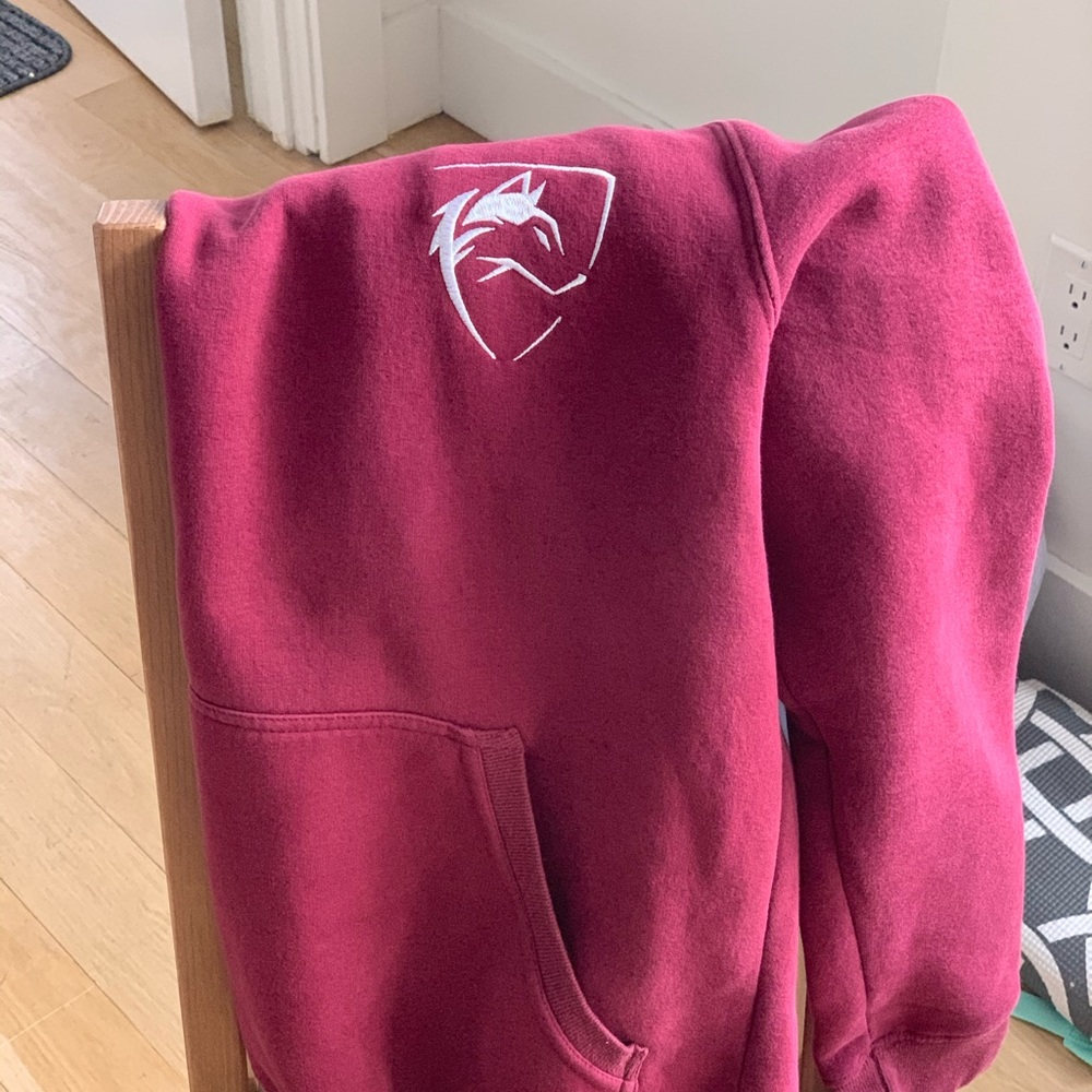 Alphalete Men’s Large Maroon Hoodie